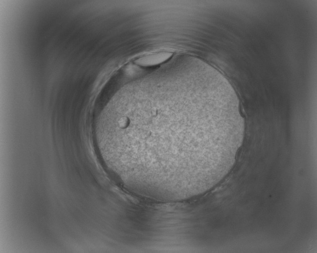 X0000067530241200604211851