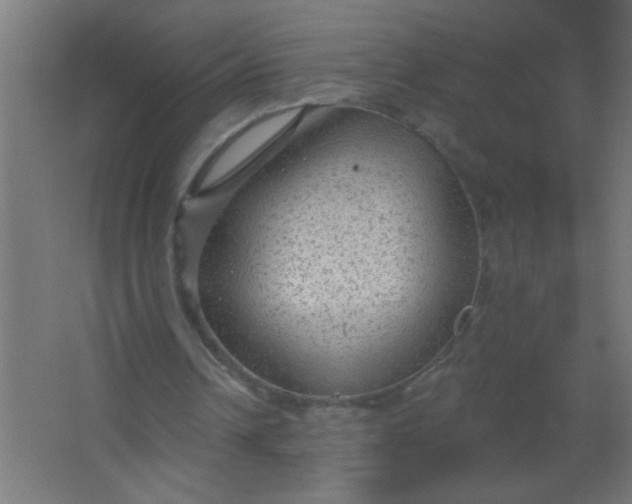 X0000067530242200604211851