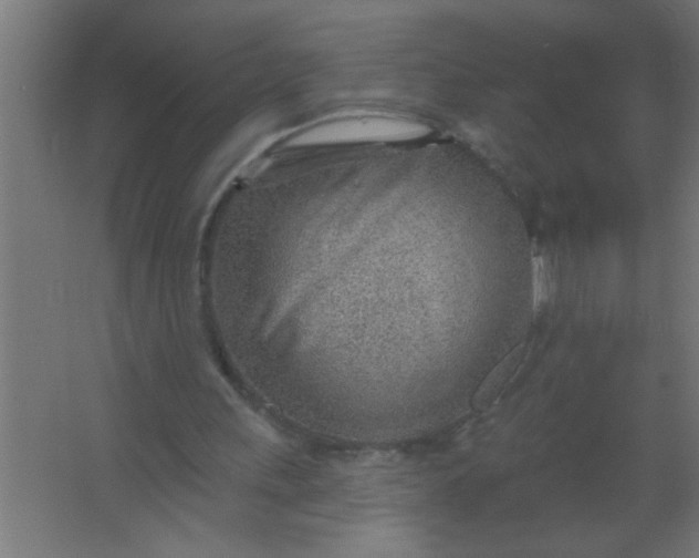 X0000067530243200604211851