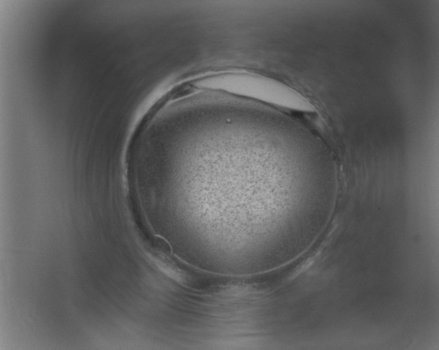 X0000067530246200604211851