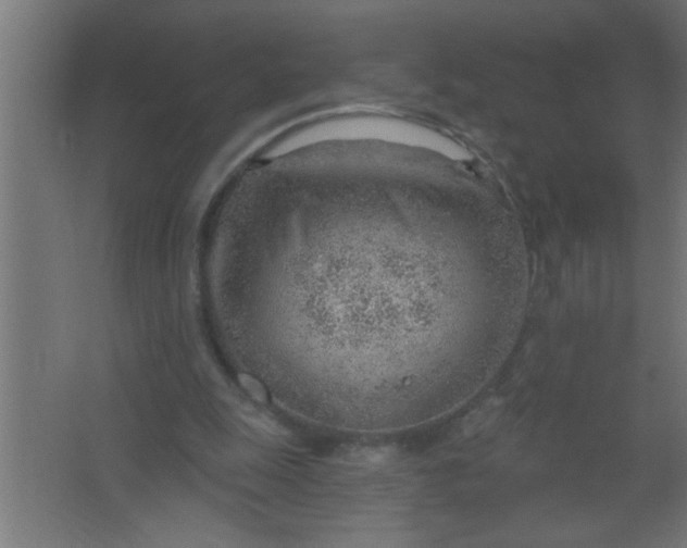 X0000067530247200604211851