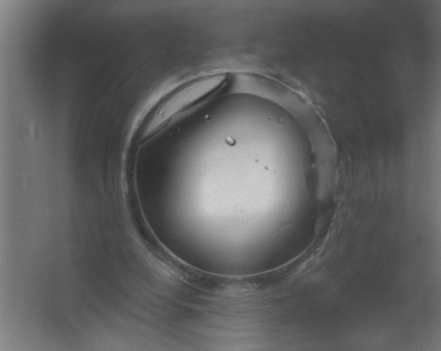 X0000067530248200604211851