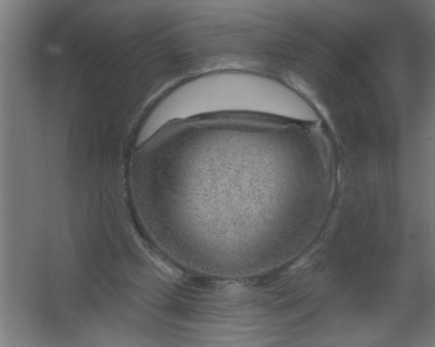 X0000067530249200604211851