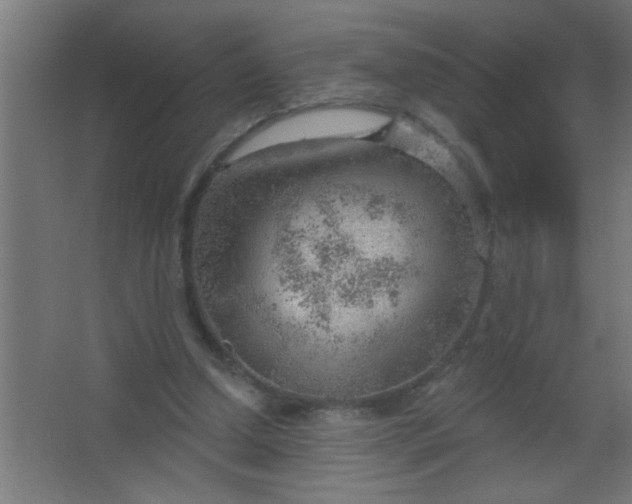 X0000067530250200604211851