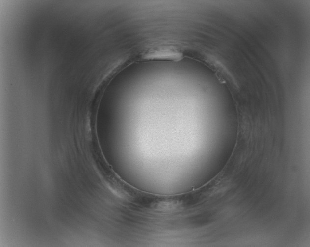 X0000067530251200604211851