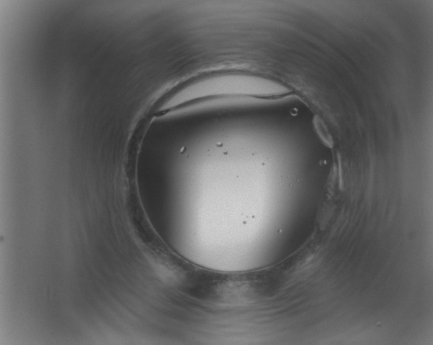 X0000067530252200604211851