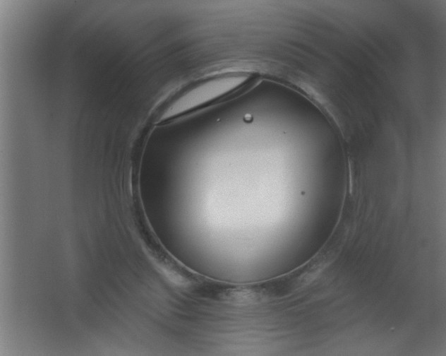 X0000067530253200604211851