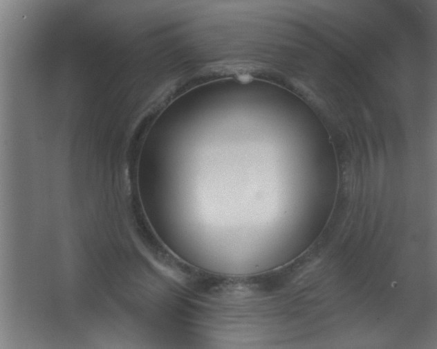 X0000067530254200604211851