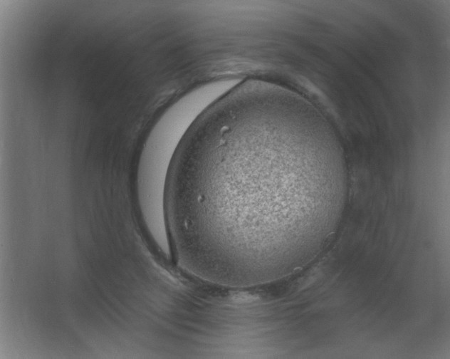 X0000067530257200604211851