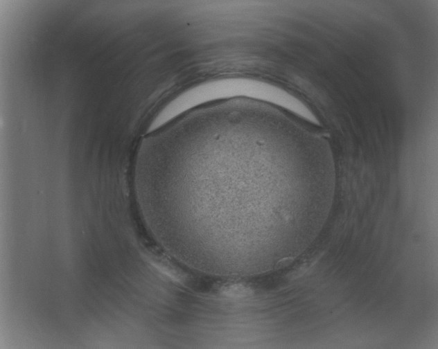 X0000067530258200604211851