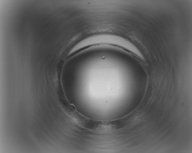 X0000067530260200604211851