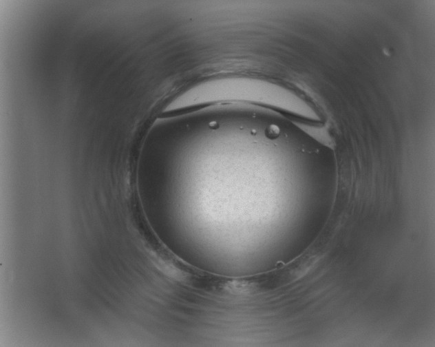 X0000067530261200604211851