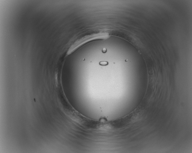 X0000067530262200604211851