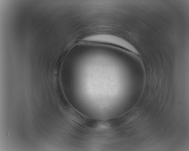 X0000067530263200604211851