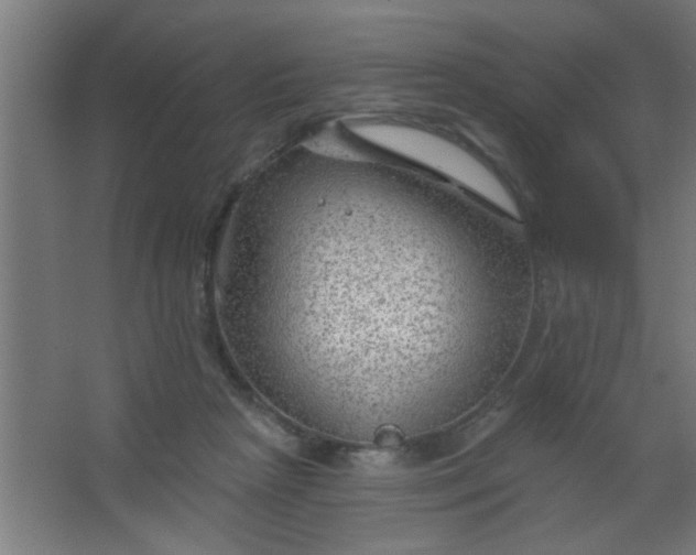 X0000067530265200604211851