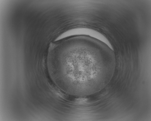 X0000067530266200604211851