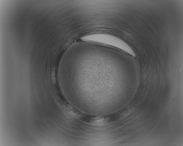 X0000067530267200604211851