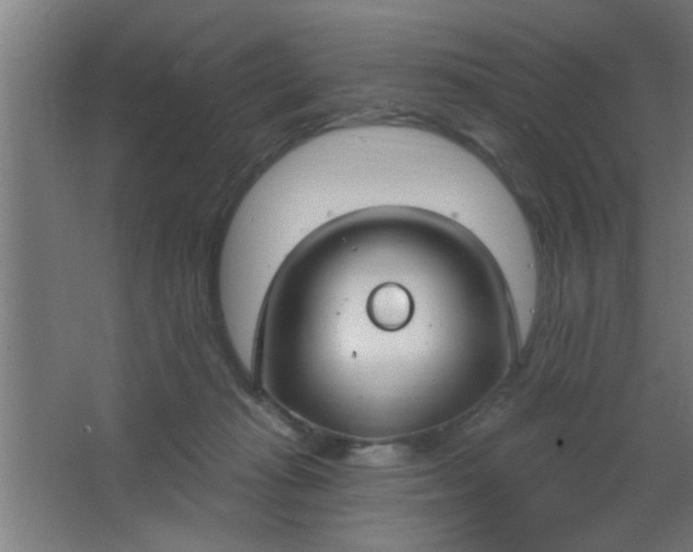 X0000067530269200604211851