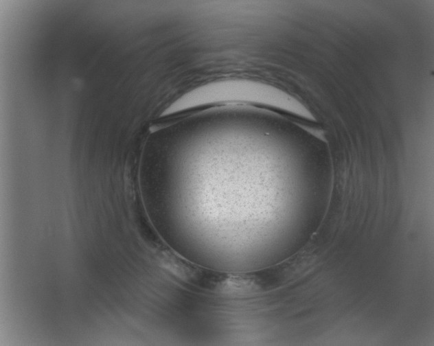 X0000067530270200604211851