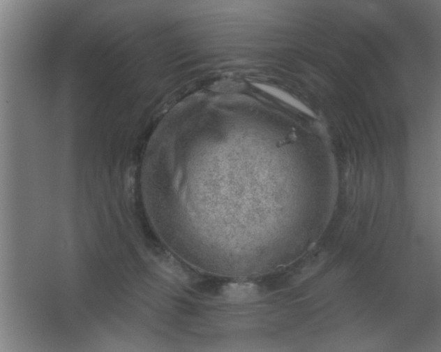 X0000067530271200604211851