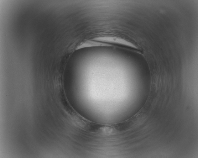 X0000067530272200604211851