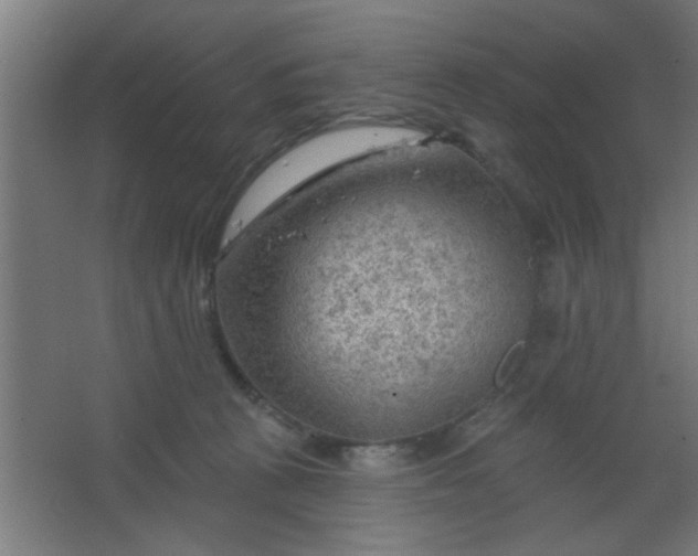 X0000067530273200604211851