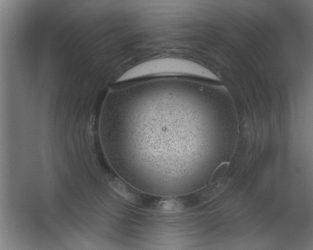 X0000067530275200604211851