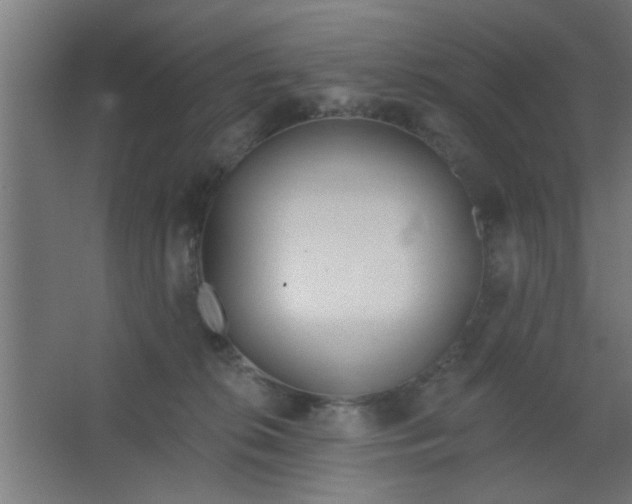 X0000067530276200604211851