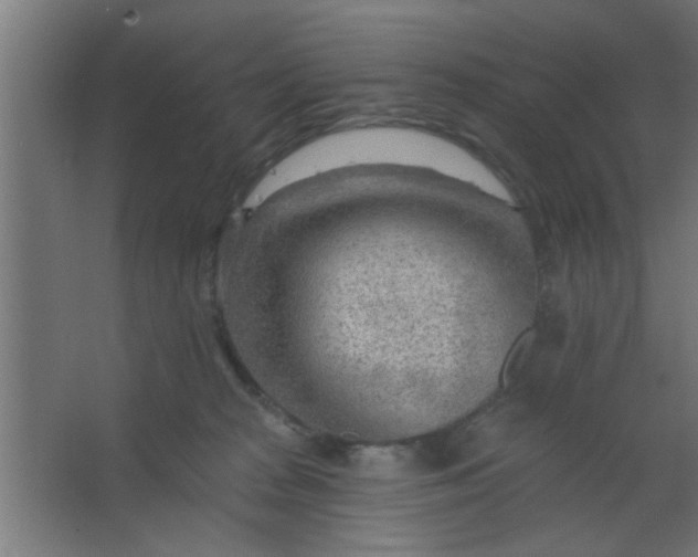 X0000067530277200604211851