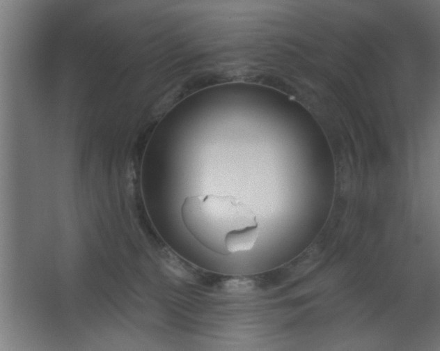 X0000067530279200604211851