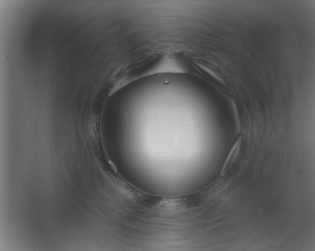 X0000067530280200604211851