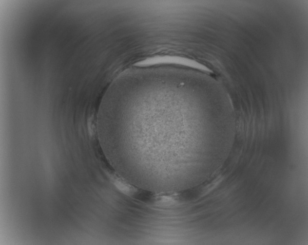 X0000067530285200604211851