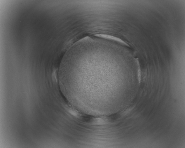 X0000067530286200604211851