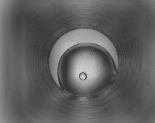 X0000067530287200604211851