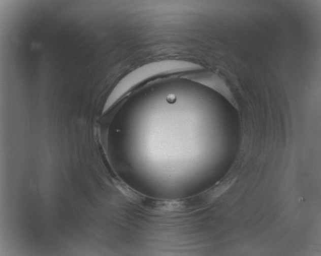 X0000067530288200604211851