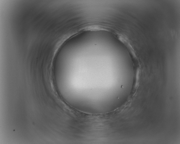 X0000067530289200604211851