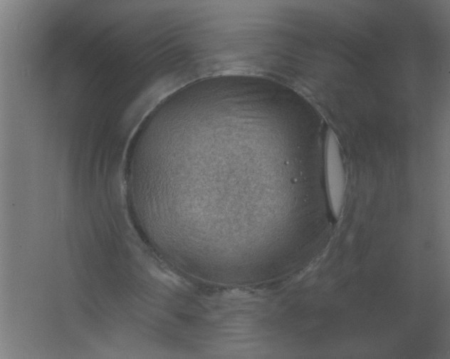 X0000067530290200604211851