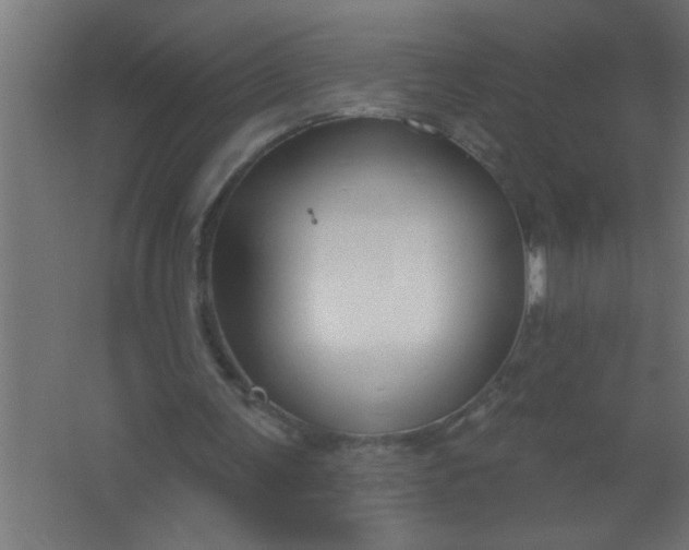 X0000067530291200604211851