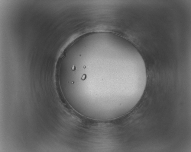 X0000067530292200604211851