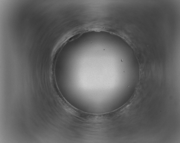 X0000067530293200604211851