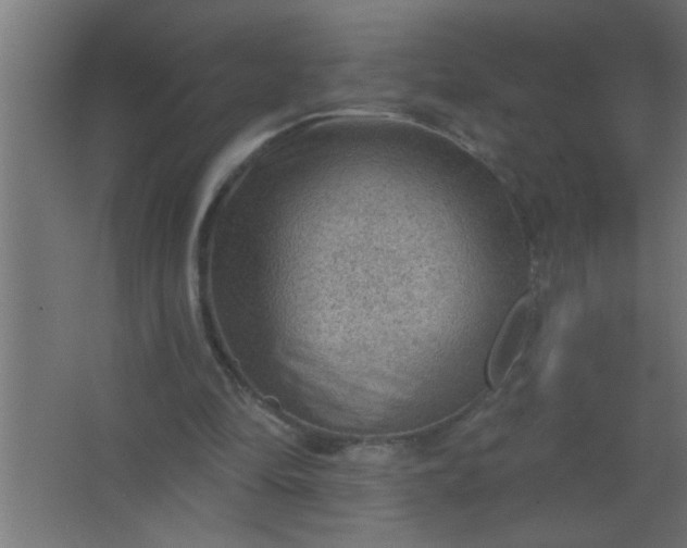 X0000067530294200604211851