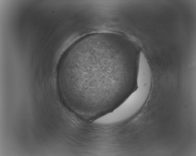 X0000067530295200604211851