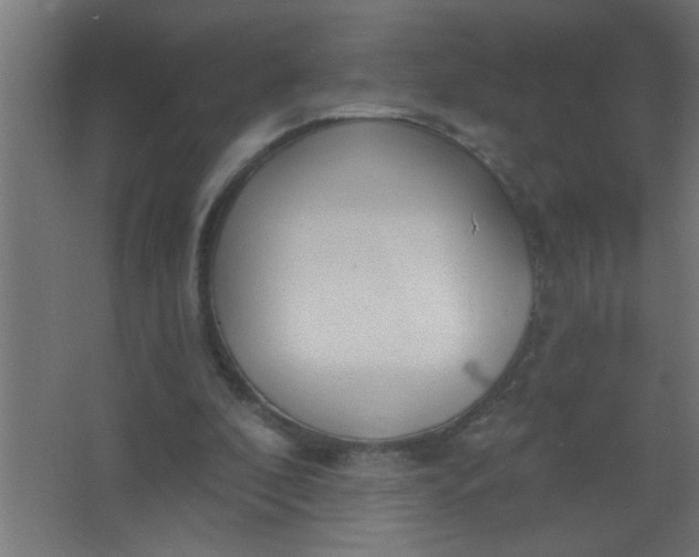 X0000067530296200604211851