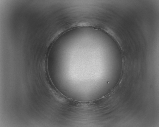 X0000067530297200604211851