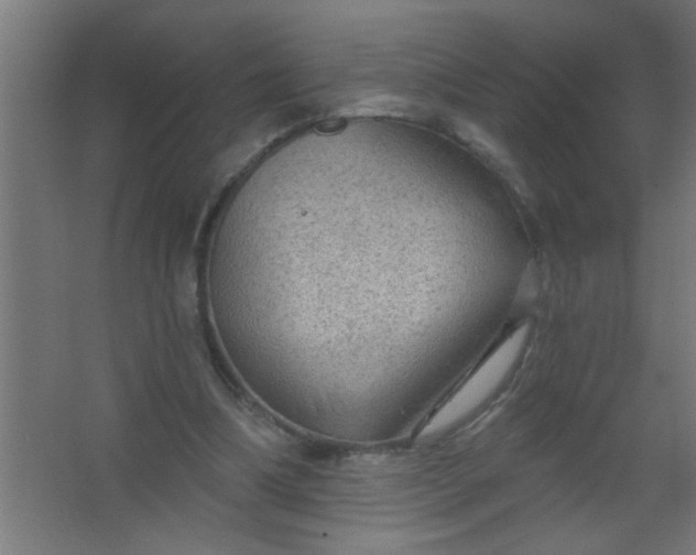 X0000067530298200604211851