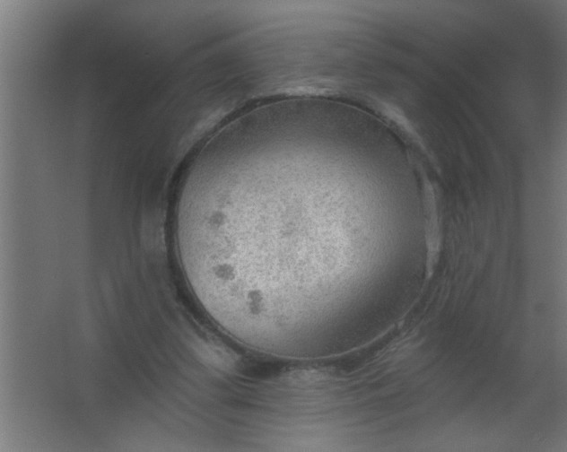 X0000067530299200604211850