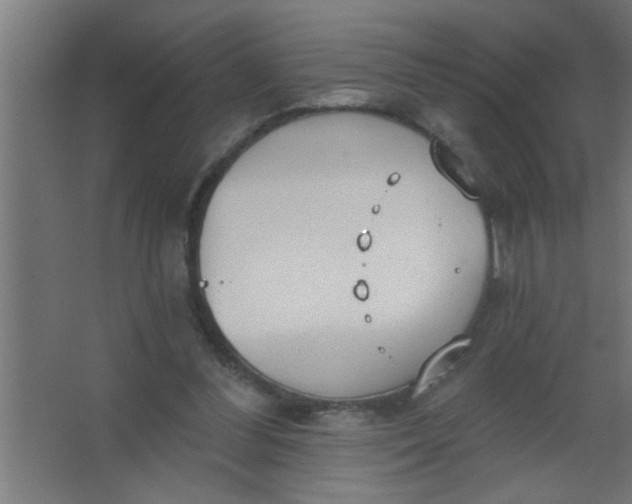 X0000067530300200604211850