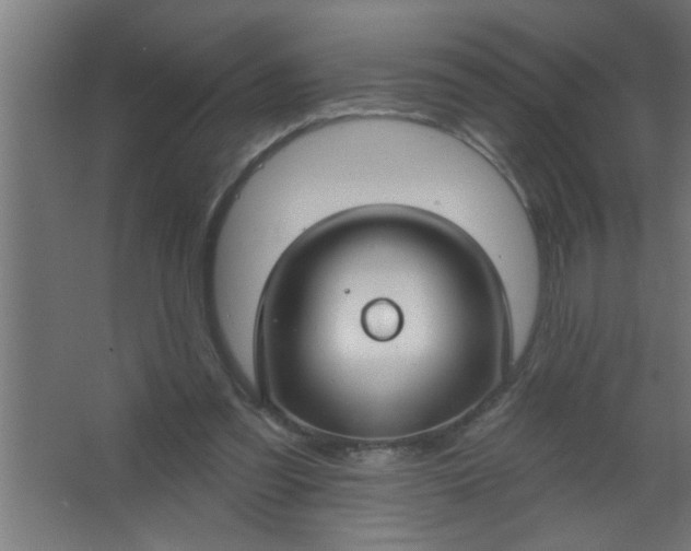 X0000067530301200604211850