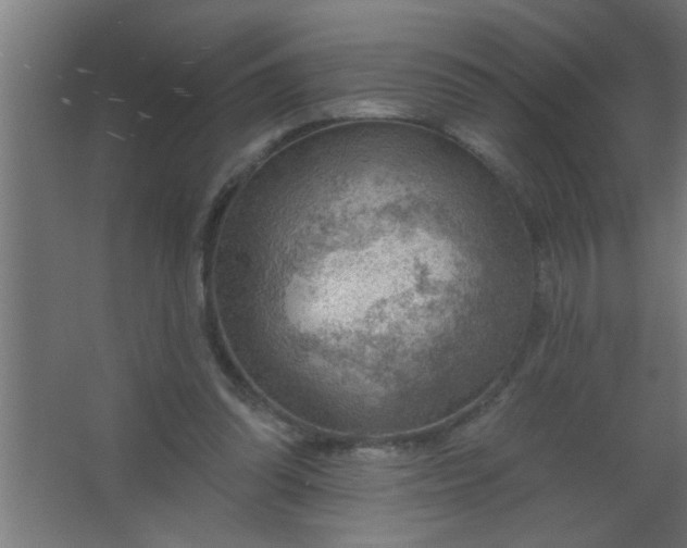 X0000067530302200604211850