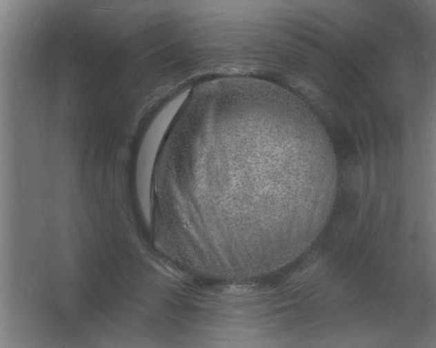 X0000067530303200604211850